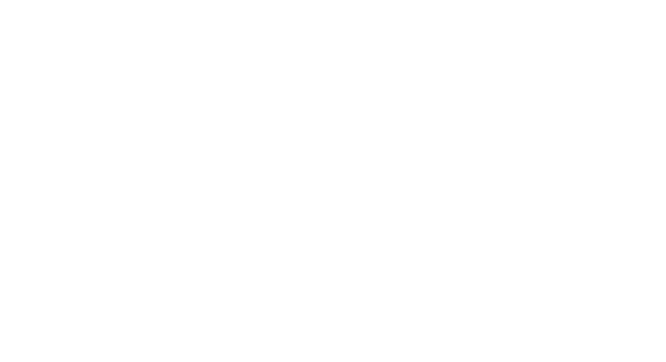 Handy Trainer Logo